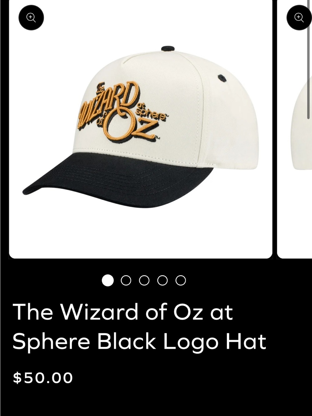 The Wizard of Oz Hat